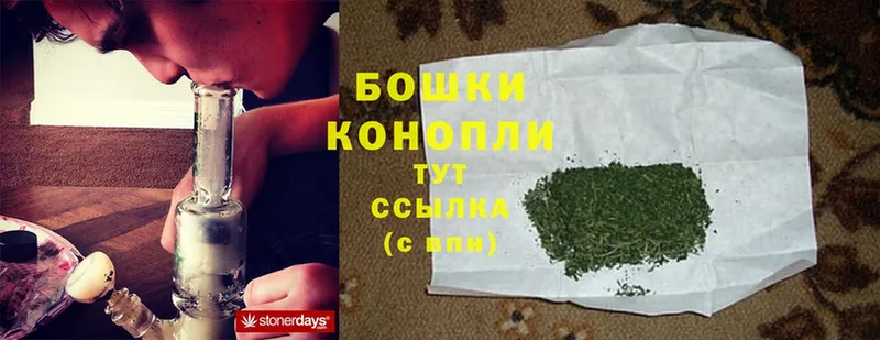 Бошки марихуана White Widow  Александров 